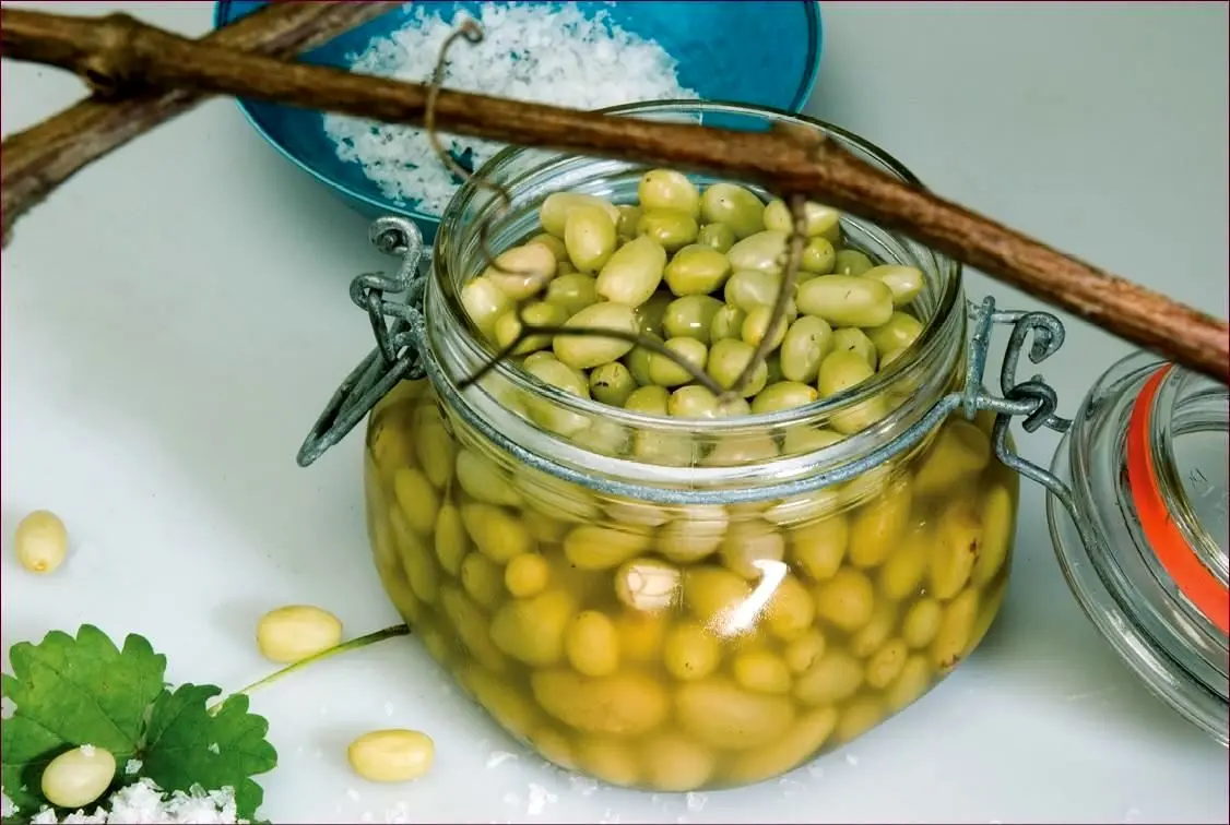 طرز تهیه ترشی غوره؛ ترشی خوشمزه فصل تابستان 

