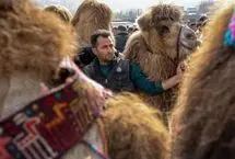 تصاویر؛ جشنواره وَرنی روستای نجف تراکمه
