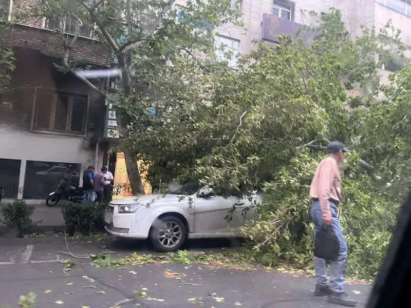 کشاورز2