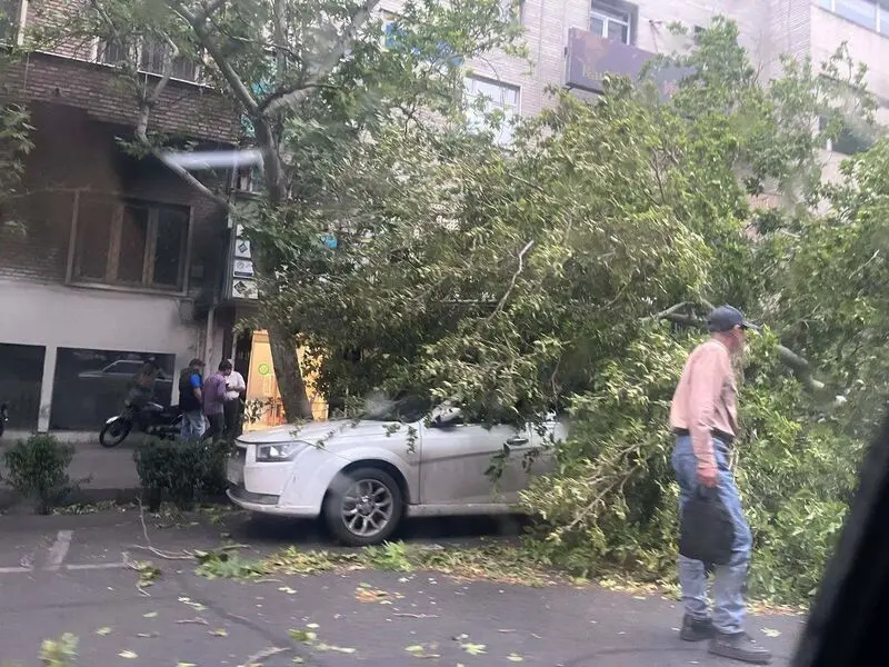 کشاورز2