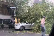سرعت وزش باد در تهران به ۹۰ کیلومتر بر ساعت رسید