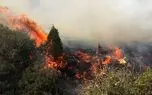 حجم حریق در ارتفاعات هماگ هرمزگان