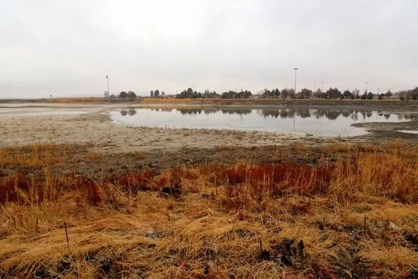 تصاویر؛ نیلوفرها در سرابِ سراب