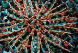تصاویر؛ مسابقه سنتی برج‌های انسانی در اسپانیا