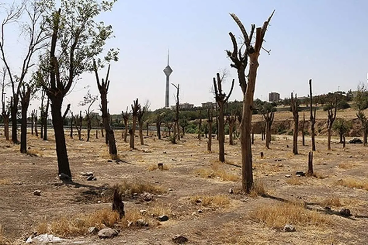 ضرب الاجل یک هفتهای برای بوستان سرخه حصار