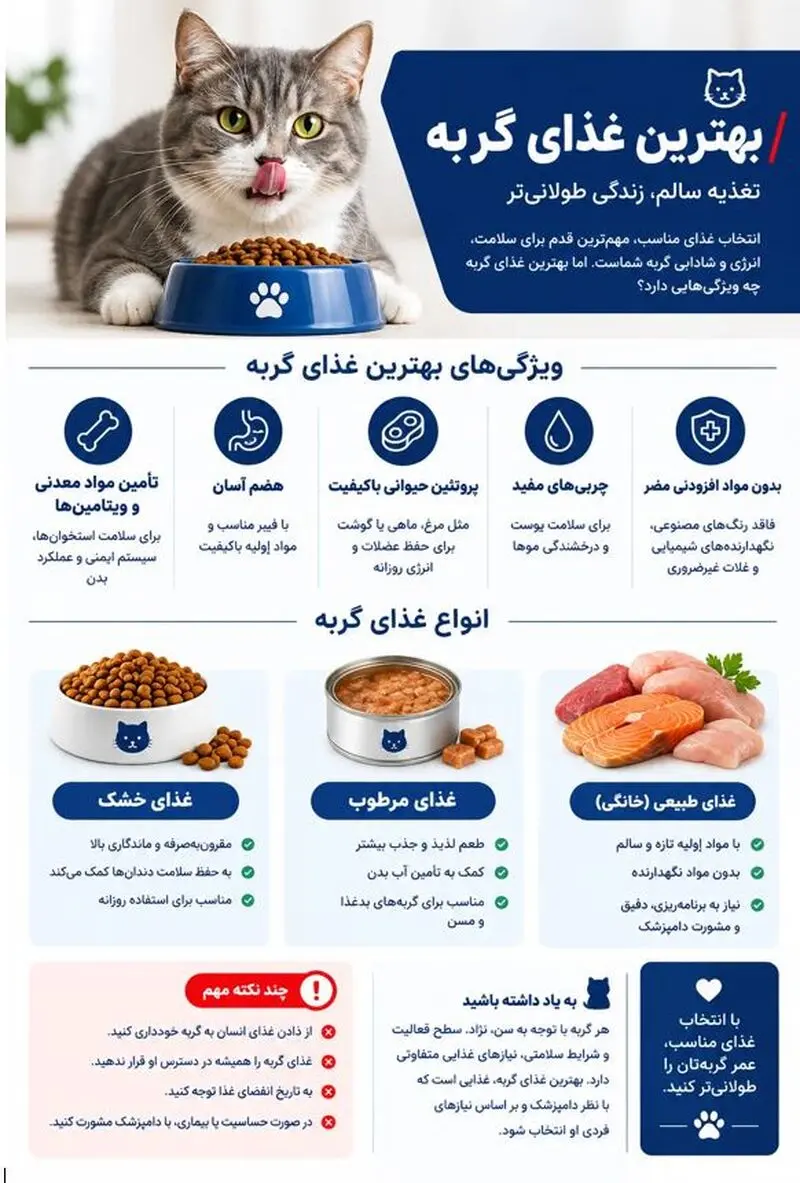 غذای گربه