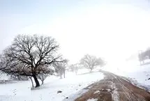 عبور از دره‌های عمیق شمال خوزستان با سیم بکسل