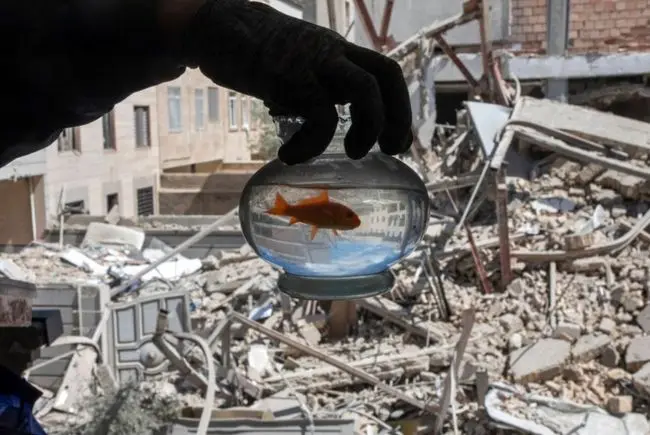 جزئیات روز سی‌ و دوم جنگ