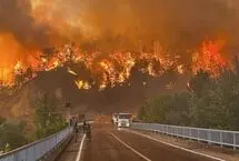   آتش‌سوزی جنگلی در جنوب‌ غرب ترکیه 