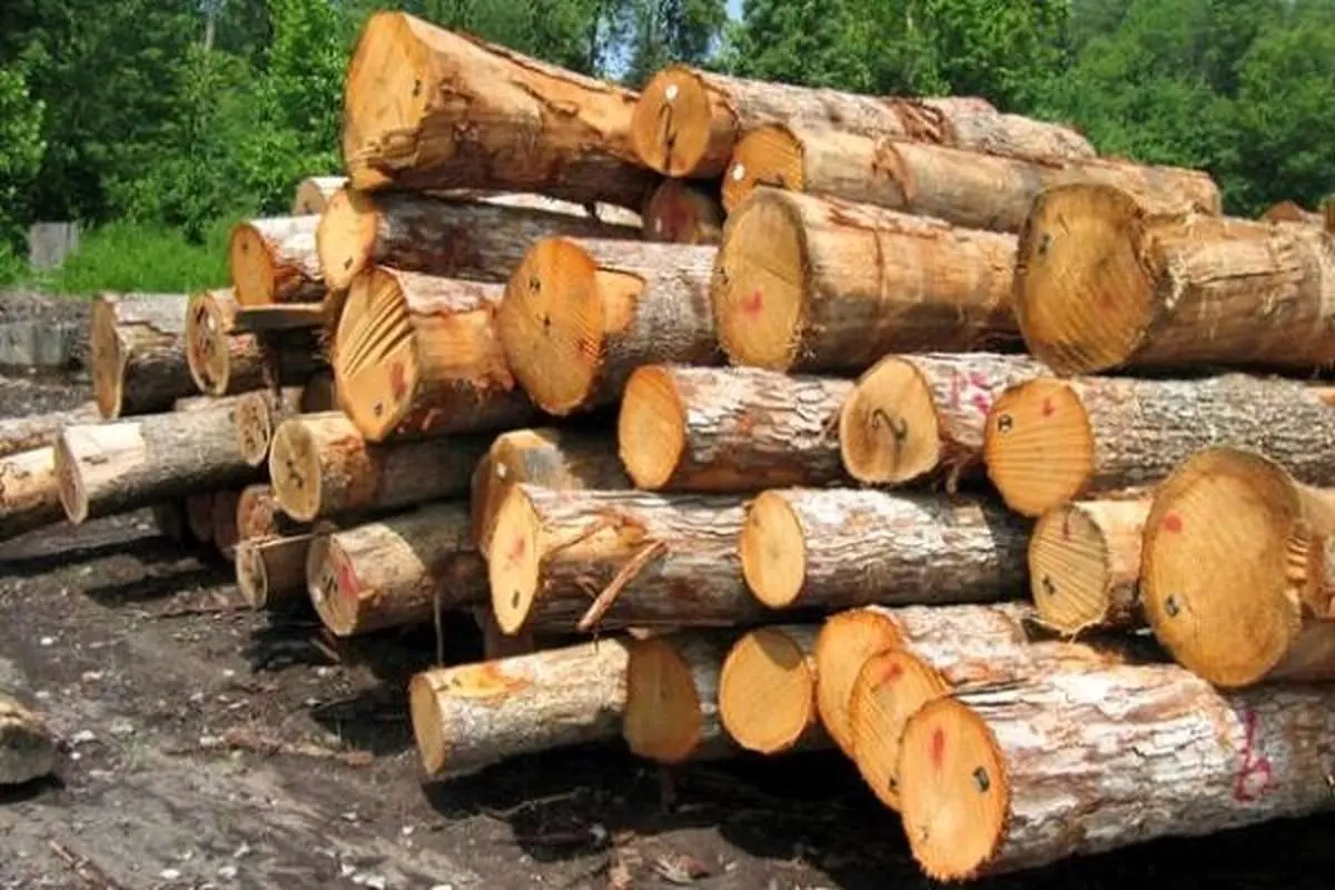 کشف یک تن چوب قاچاق در رباط کریم