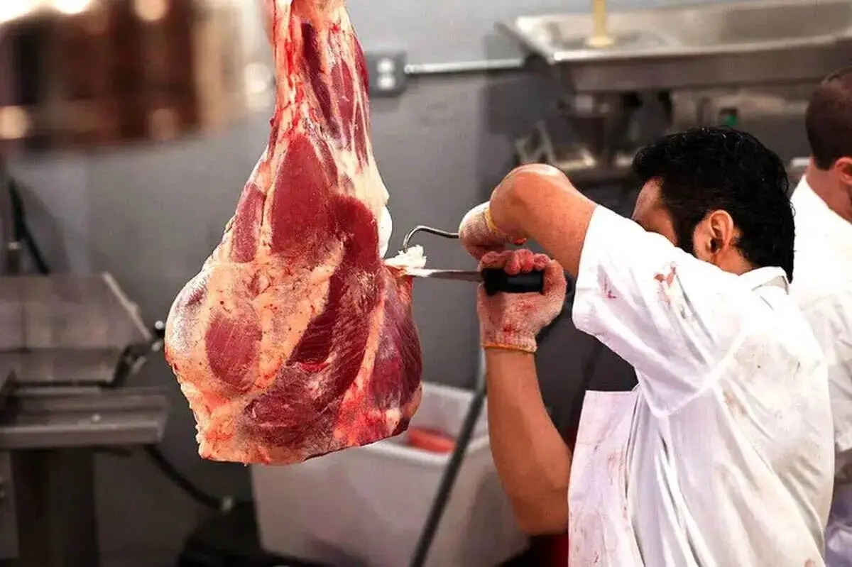 گوشت قرمز چرا گران شد؟
