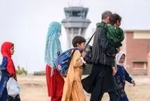آخرین جزییات از وضعیت ساماندهی اتباع غیرمجاز