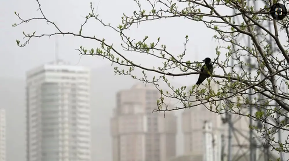 شاخص آلودگی هوای تهران امروز چهارشنبه ۲۹ بهمن / پایتخت در محاصره ذرات معلق