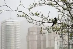 شاخص آلودگی هوای تهران امروز چهارشنبه ۲۹ بهمن / پایتخت در محاصره ذرات معلق