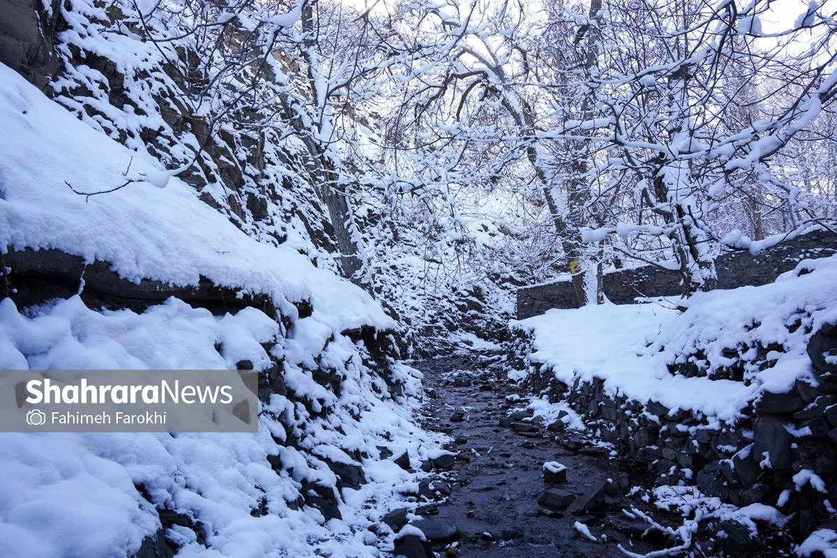 تصاویر؛ طبیعت زمستانی روستای کنگ 31