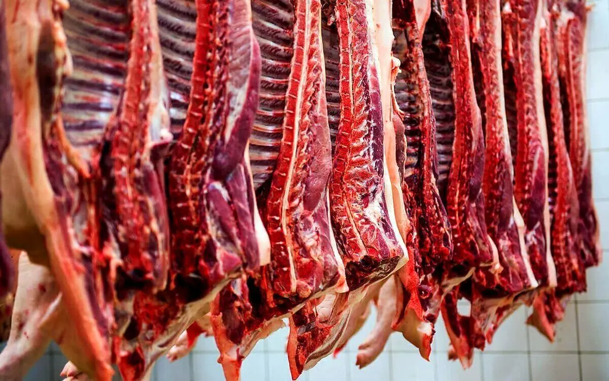 قیمت جدید گوشت قرمز، امروز چهارشنبه ۱۷ اردیبهشت ۱۴۰۴؛ قیمت ماهیچه گوسفندی میلیونی شد