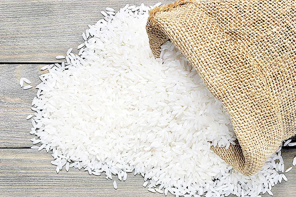 بازار برنج به تعادل نزدیک میشود؟