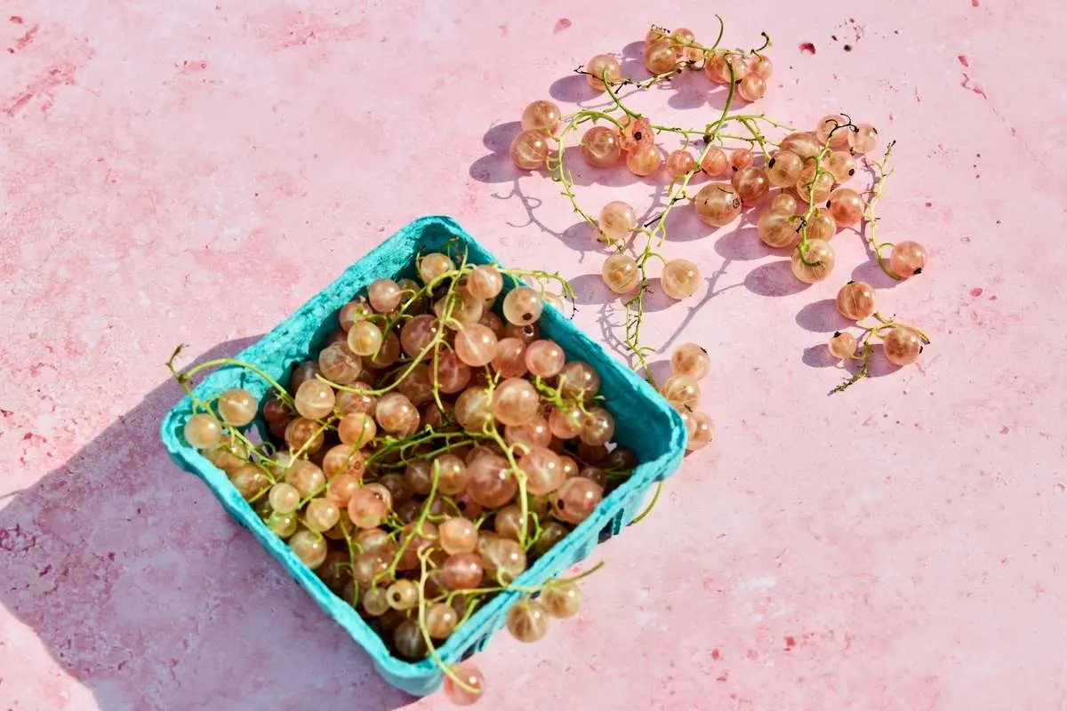 3 نشانه فیزیکی که می‌گوید بیش از حد نیاز فیبر مصرف می‌کنید