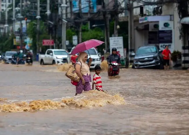 مهمان غول‌پیکری که سیل برای مردم تایلند آورد