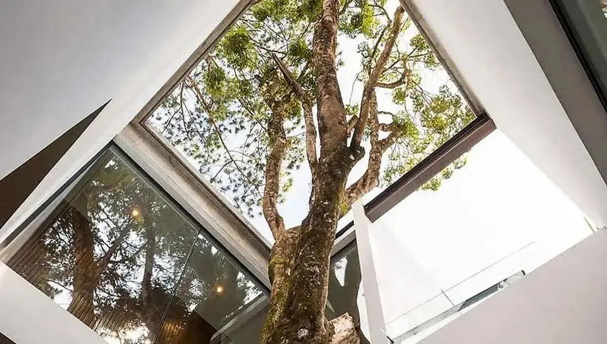 وقتی معماری، هم ترمیم‌کننده است و هم پناهگاهی برای آرامش