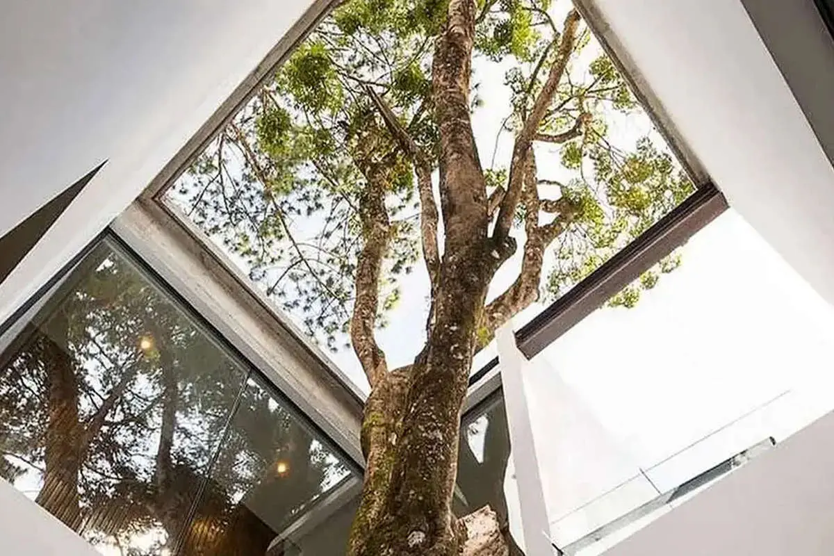 وقتی معماری، هم ترمیمکننده است و هم پناهگاهی برای آرامش