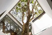 وقتی معماری، هم ترمیم‌کننده است و هم پناهگاهی برای آرامش