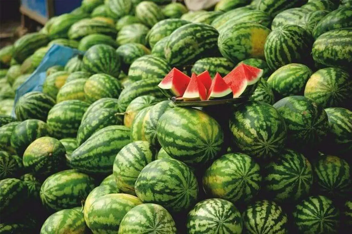 ادعای عجیب معاون دومای روسیه درباره هندوانه‌های ایرانی