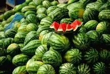 ادعای عجیب معاون دومای روسیه درباره هندوانه‌های ایرانی