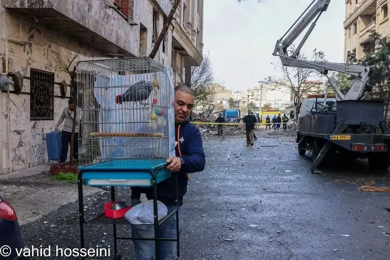 گیشا تهران3