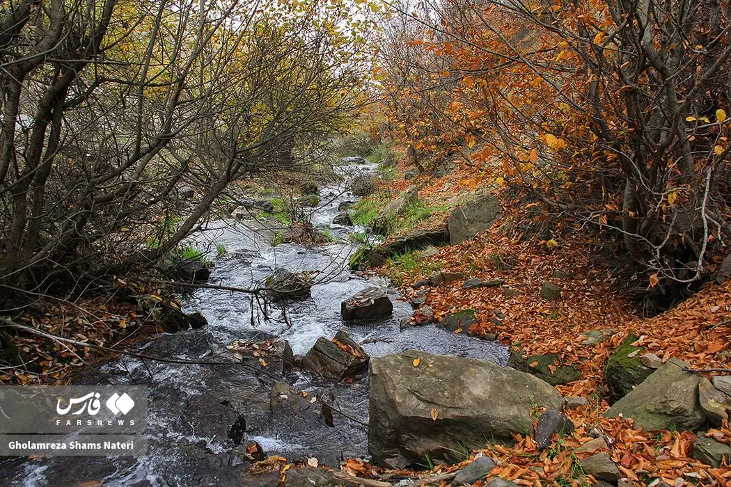 عکس صفحه گوشی پاییز