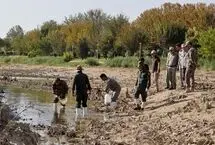 زاینده‌رود بی‌آب/ هزاران آبزی در بستر خشک رودخانه تلف شدند