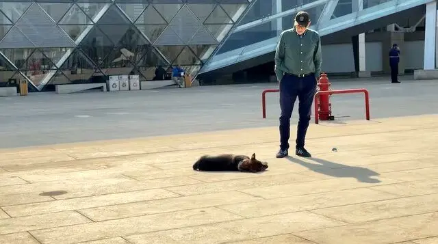 ماجرای سگی که رقیب فرعون مصر شد چه بود؟