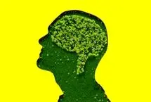 عنصر گمشده‌ای که تفاوت مغز انسان را می‌سازد