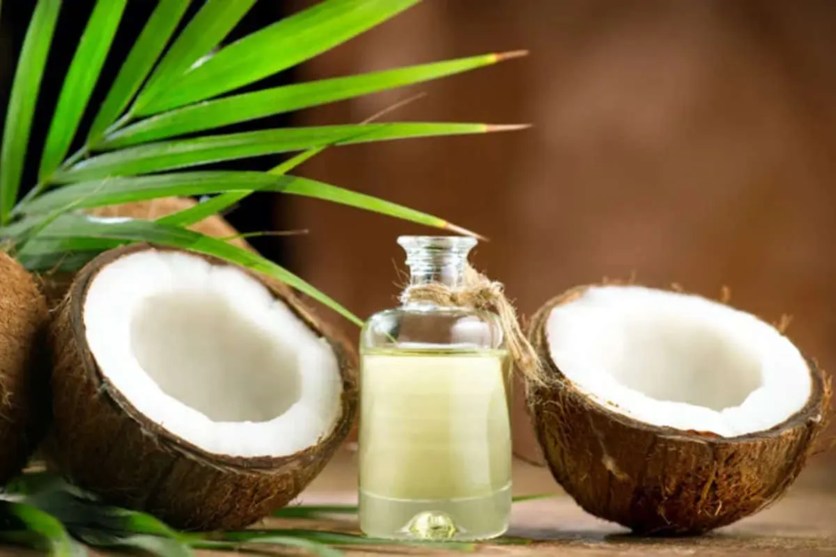 روغن نارگیل برای موها چه فوایدی دارد؟ بررسی خواص و روش استفاده