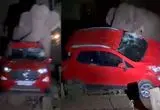 فیل در جستجوی انبه یک خودرو را واژگون کرد