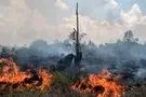 فوران شدید آتشفشان در اندونزی