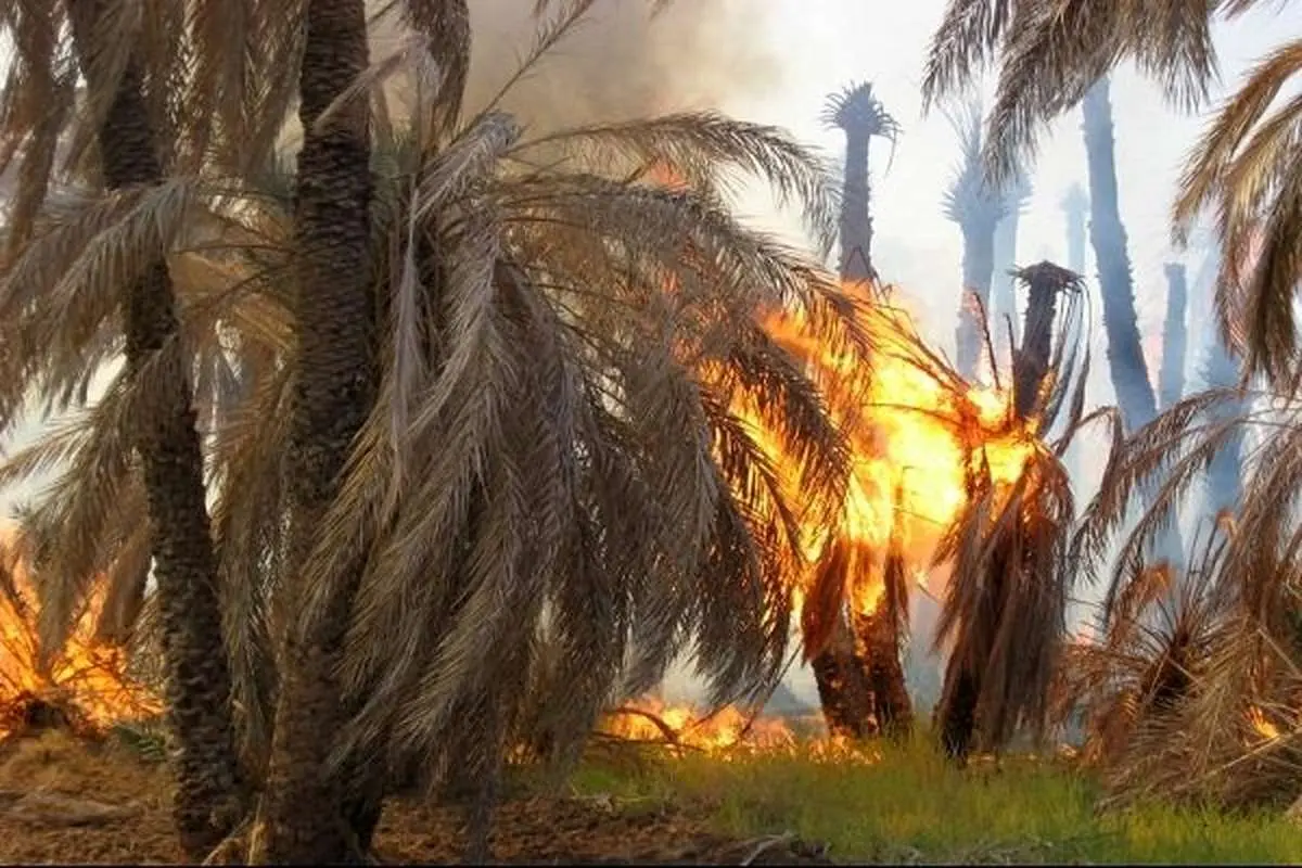 نخلستان در آتش، آبادان در عطش