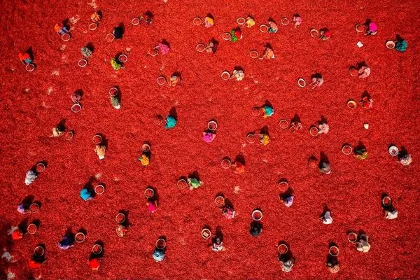 تصاویر؛ شاهکارهای ثبت‌ شده از آسمان؛ برندگان مسابقه جهانی عکاسی هوایی