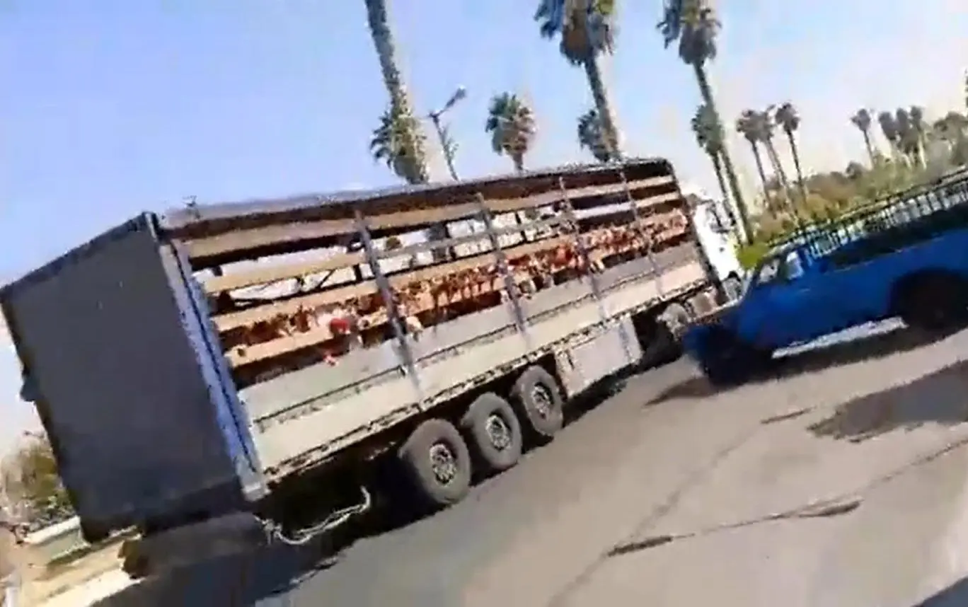 جابجایی دانش‌آموزان یک مدرسه در جهرم با کامیون