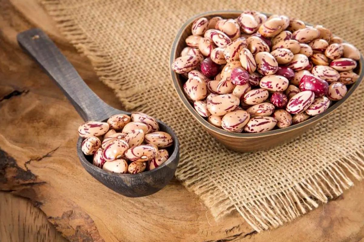 قیمت لوبیا چیتی به ۲۴۵ هزارتومان رسید
