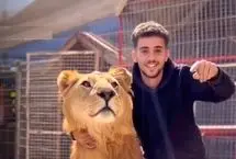 ببینید؛ بازی با شیر نر نجات یافته از جنگ غزه
