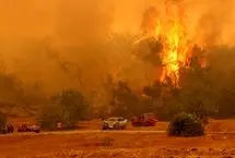آتش‌سوزی گسترده در شمال غرب ترکیه