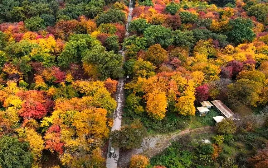 در قلب هیرکانی میهمانش باش، صاحبش نه!
