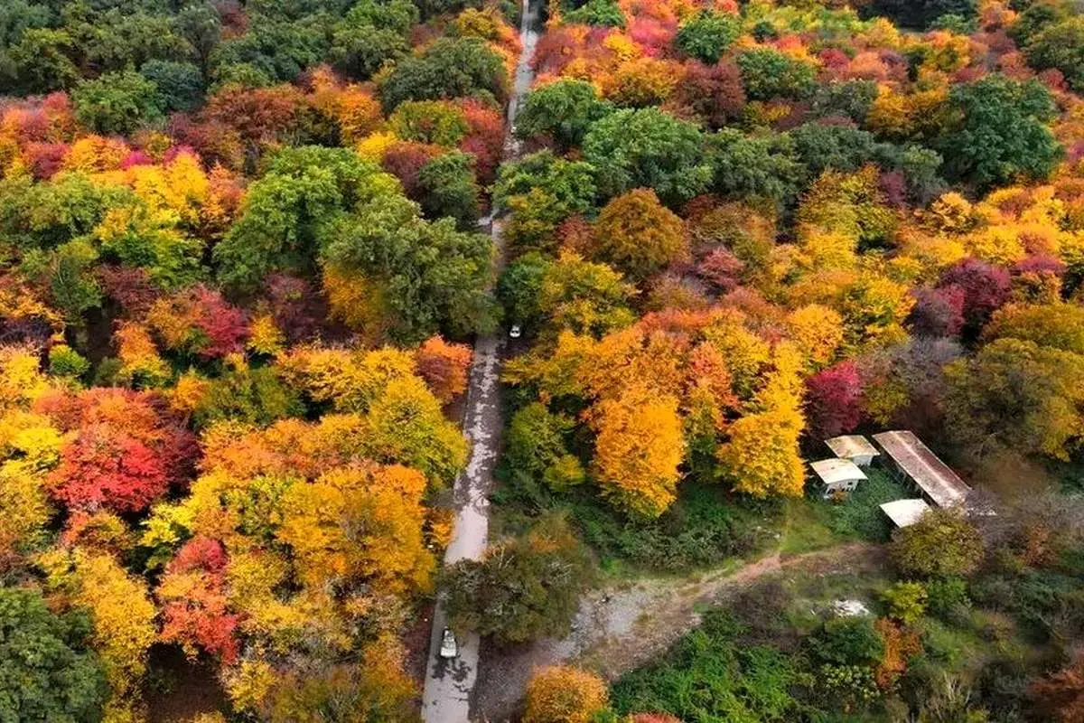 در قلب هیرکانی میهمانش باش، صاحبش نه!
