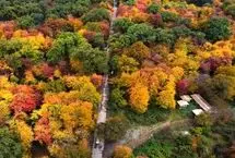 در قلب هیرکانی میهمانش باش، صاحبش نه!
