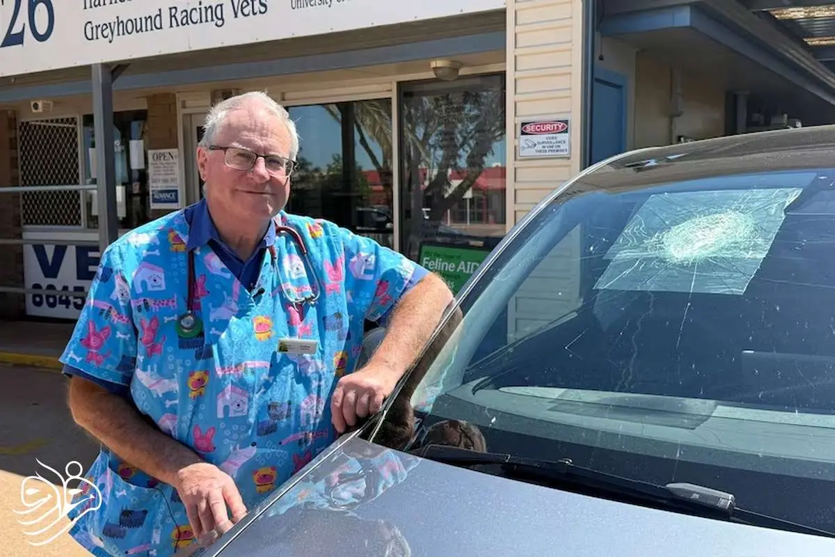 ماجرای جسم عجیبی که از آسمان به تسلا برخورد کرد