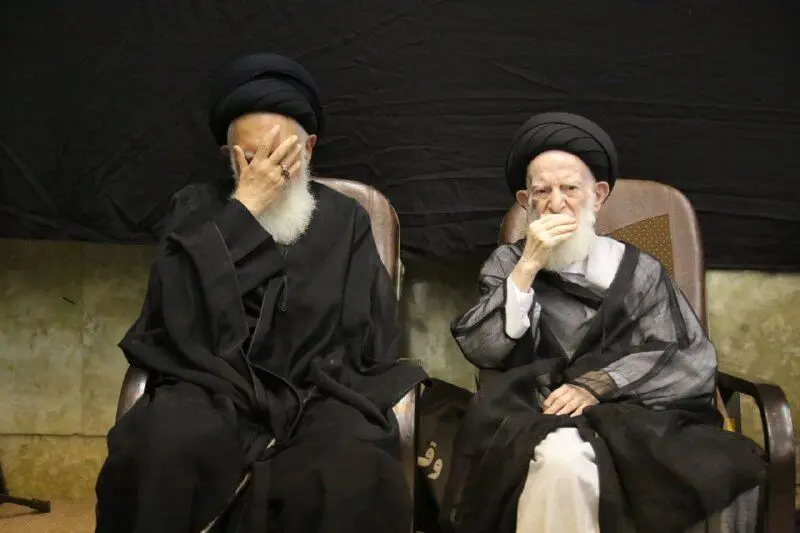 تصاویر؛ مراسم سالگرد همسر آیت‌الله شبیری زنجانی