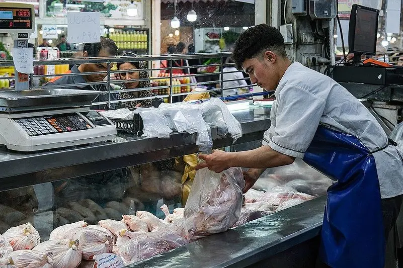 زنگ خطر در بازار؛ مرغ کیلویی 250 هزار می‌شود!