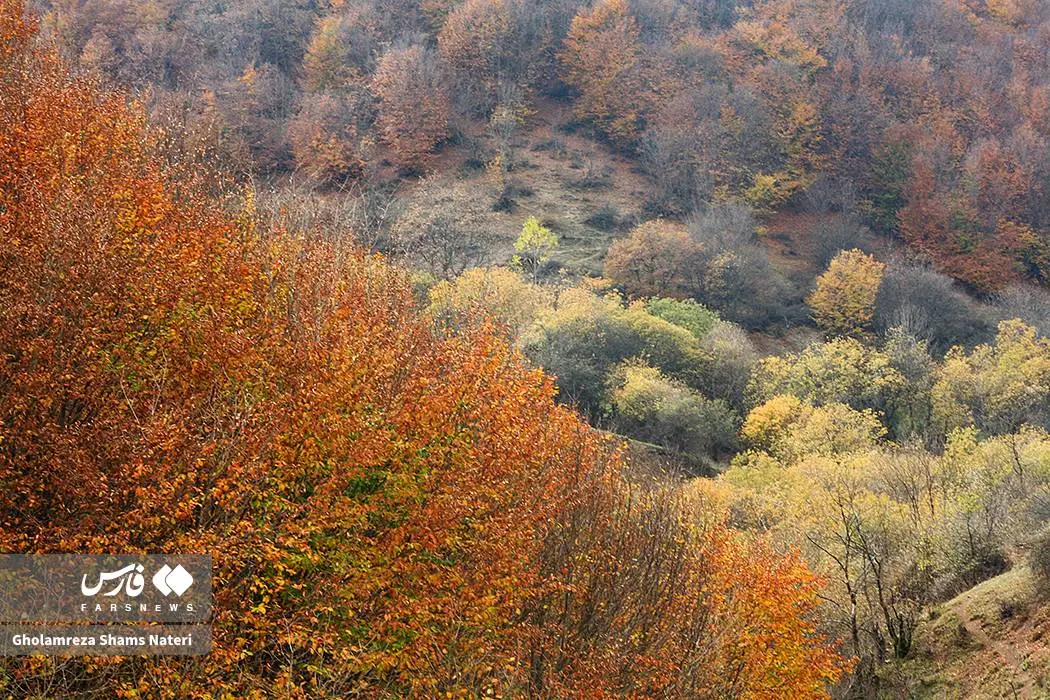 عکس صفحه گوشی پاییز