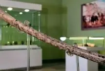 نمایش فلوت استخوانی ۸ هزار ساله در موزه ملی